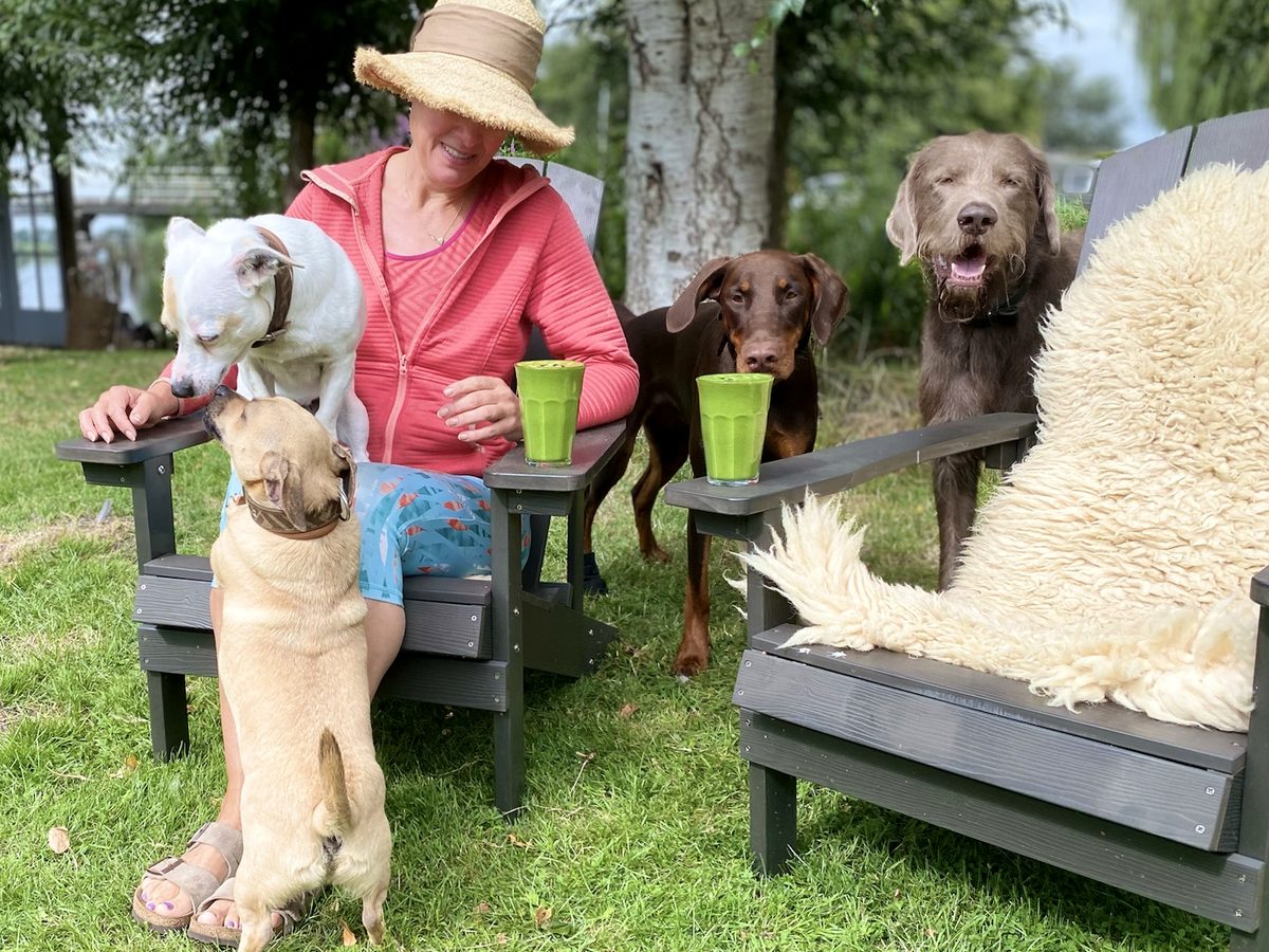 La persona di riferimento siede fuori tra quattro cani in cerca di un contatto rilassato