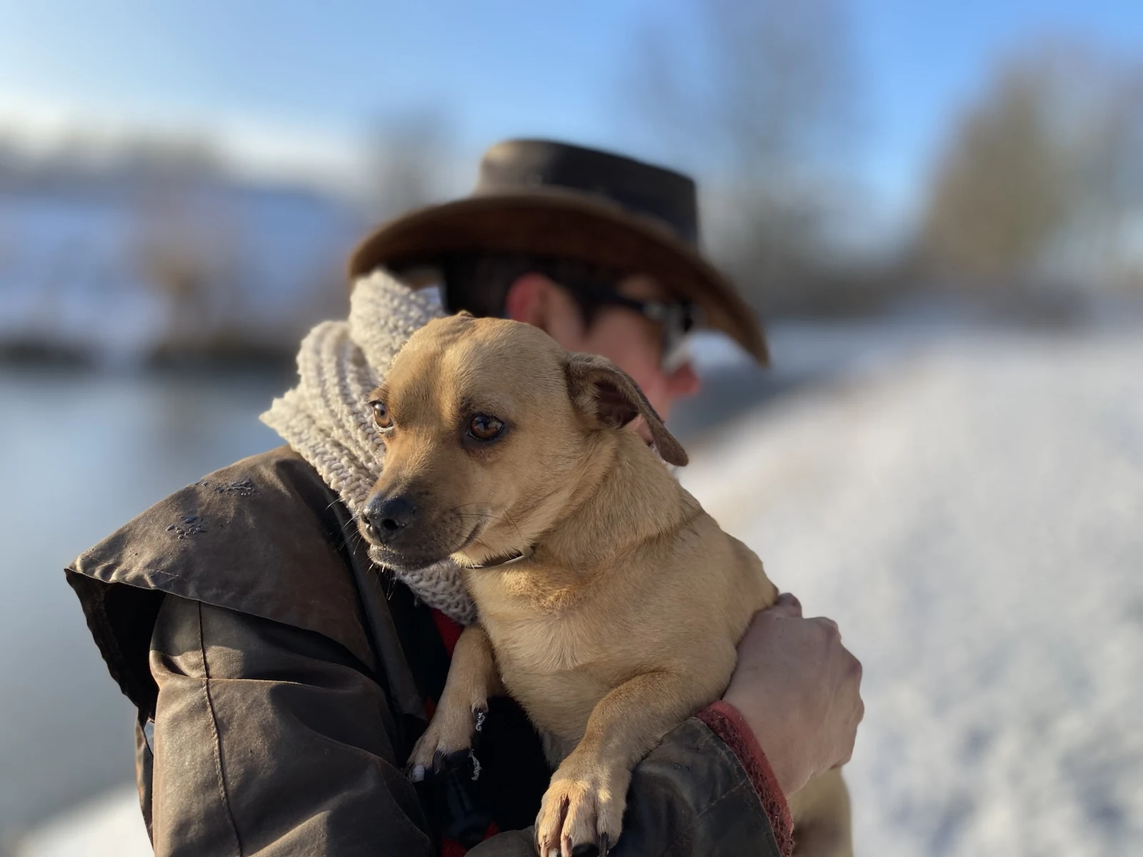 Een vaste verzorger houdt één hond rustig dichtbij tijdens individuele begeleiding.