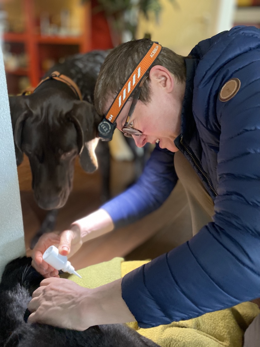 Una persona di riferimento somministra con calma al cane il farmaco concordato