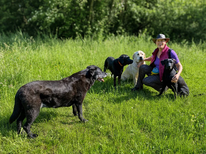 Persoonlijke begeleider met vier honden tijdens een buitenmoment in het groen
