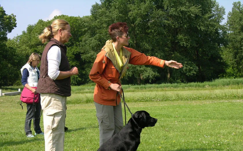Persoonlijke overdracht: de begeleider geeft uitleg terwijl de eigenaar met de hond oefent