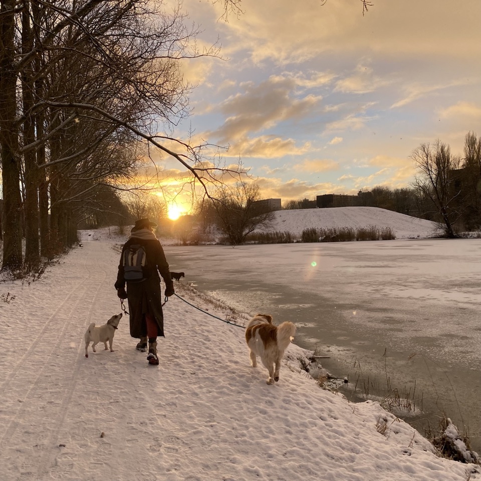De vaste verzorger wandelt met twee honden langs het water in een besneeuwd winterlandschap